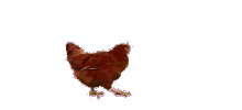 擊敗